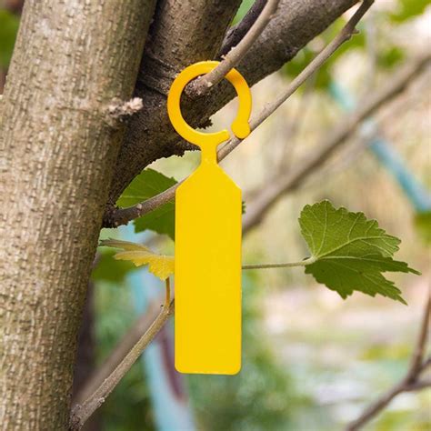 tree tags uk